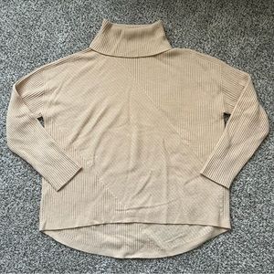 Eileen Fisher Cashmere Turtleneck